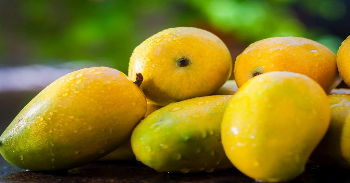 Mango Prices in Pakistan 2024 Revealed Savory Sweetness