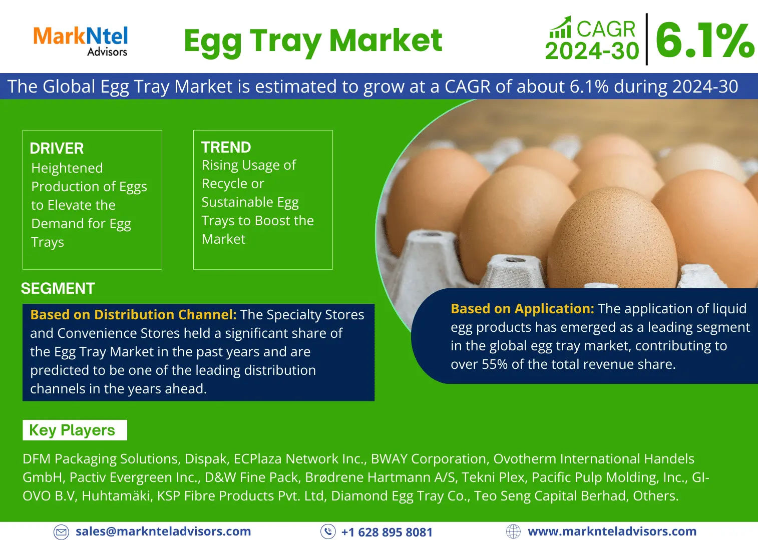 1705574268r (1) Egg Tray Market