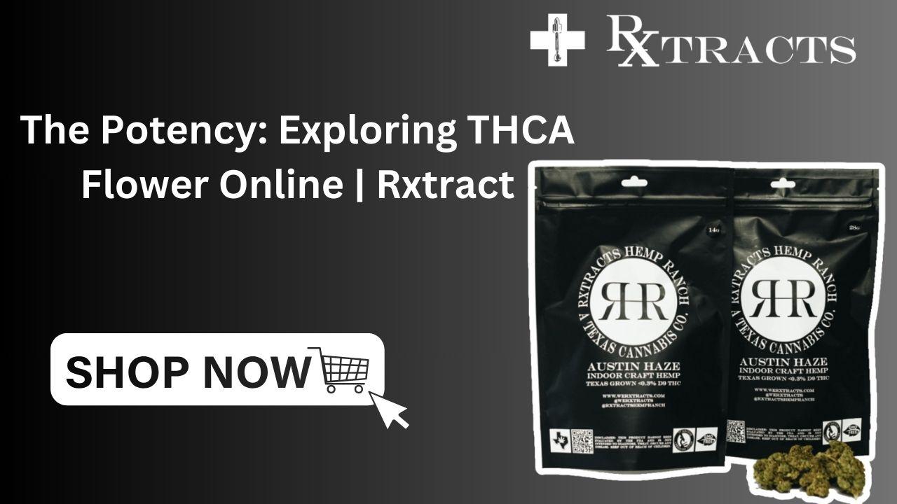 The Potency Exploring THCA Flower Online Rxtract The Potency Exploring THCA Flower Online Rxtract