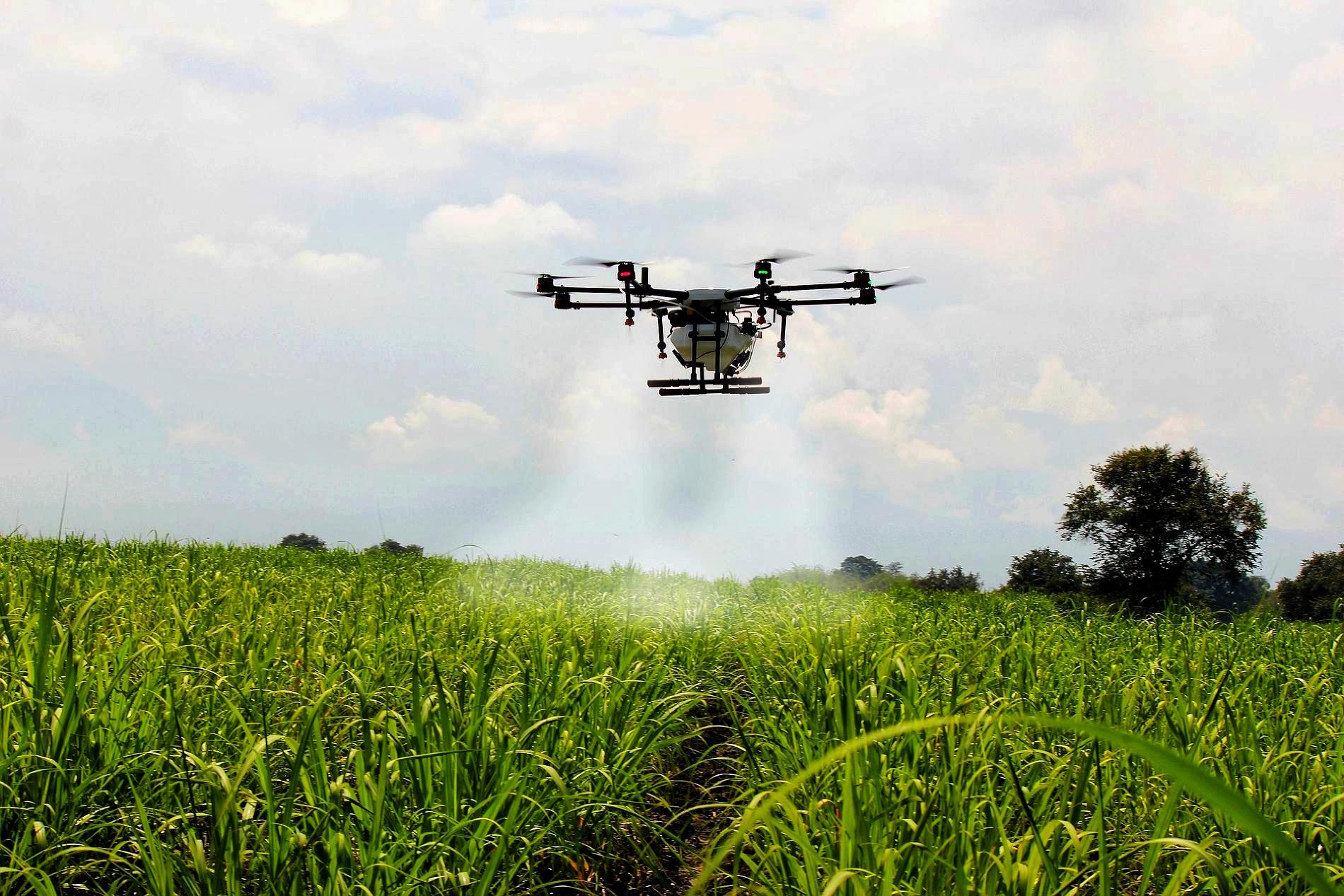 Revolutionizing Farming: The Rise of Agricultural Drones in Auburn, Alabama