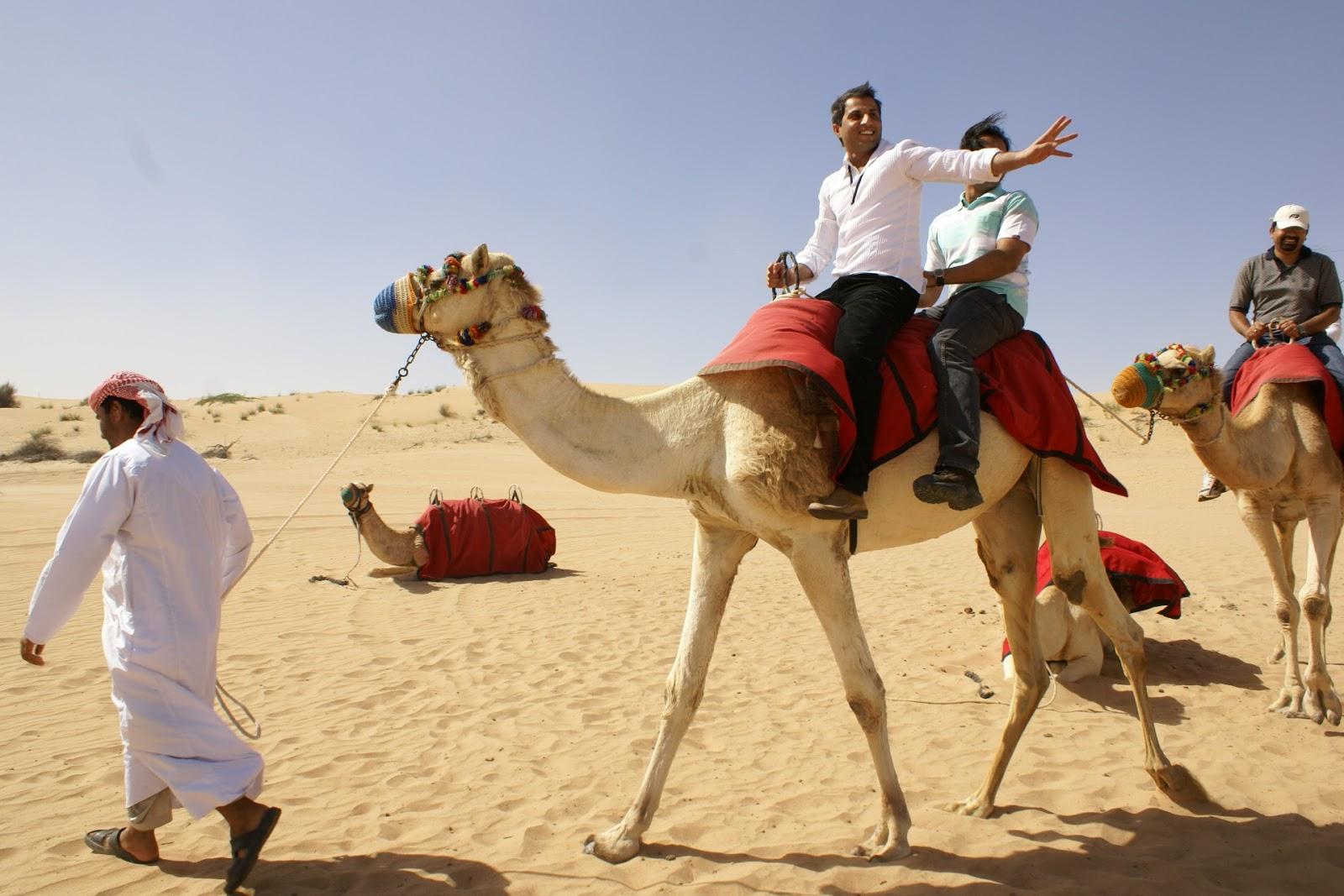 Conquer the Dunes Before the Heat: A Guide to Morning Desert Safaris Conquer the Dunes Before the Heat: A Guide to Morning Desert Safaris