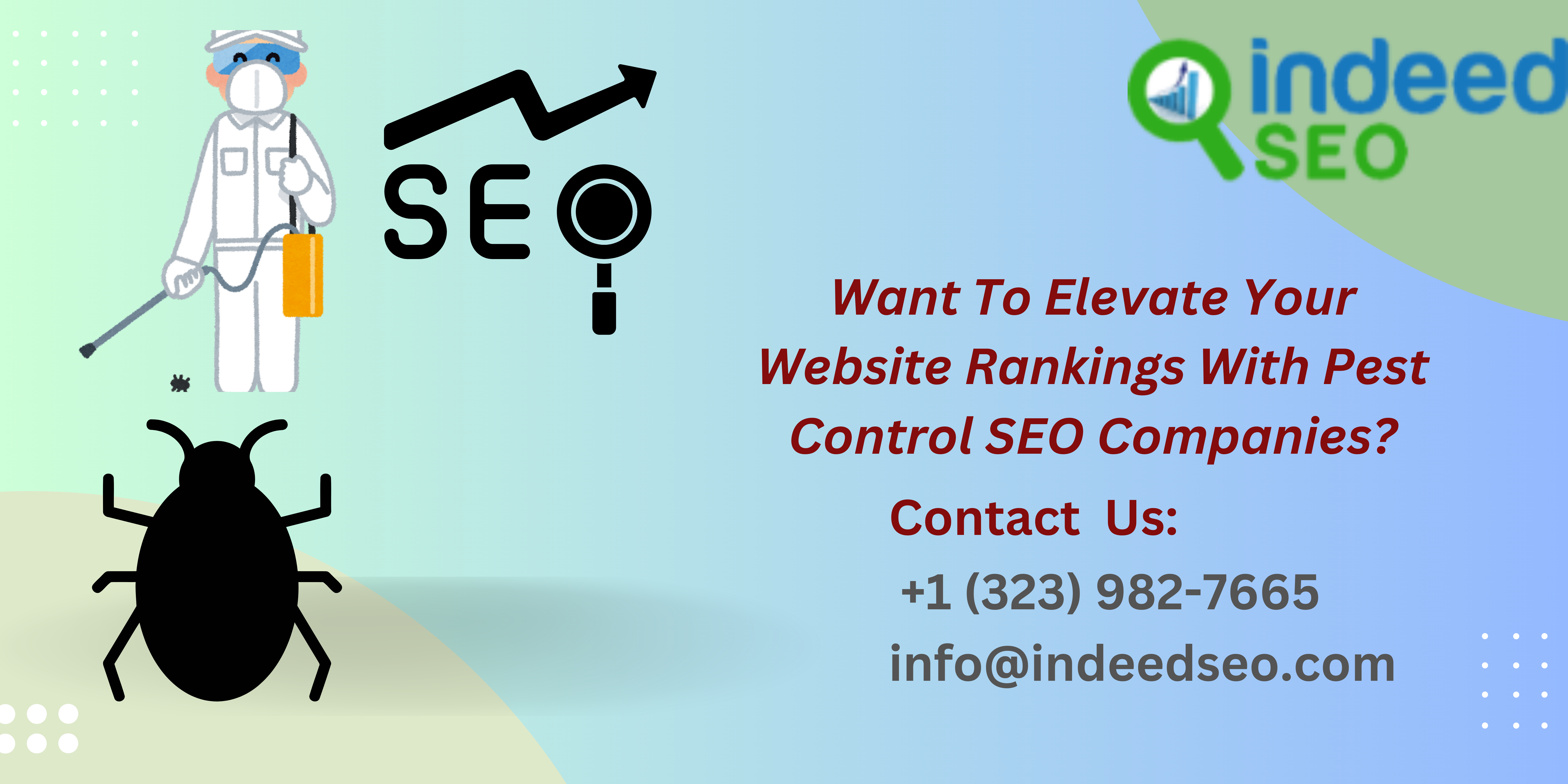 Amazon Ads Management Services (3)