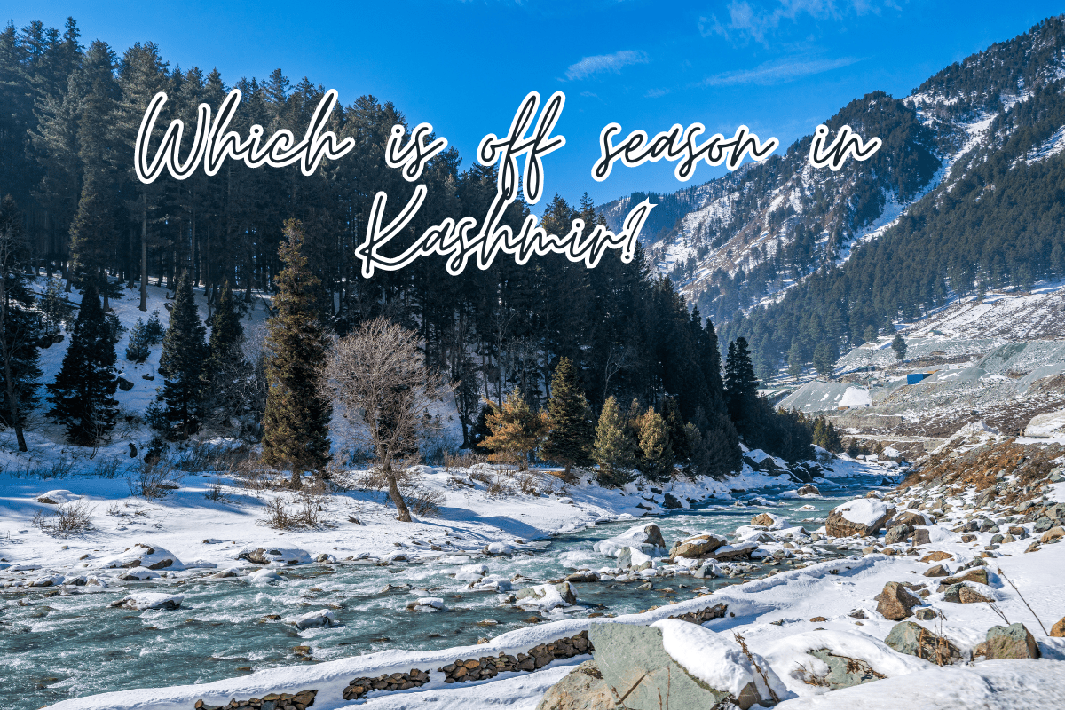 Which is off season in Kashmir?