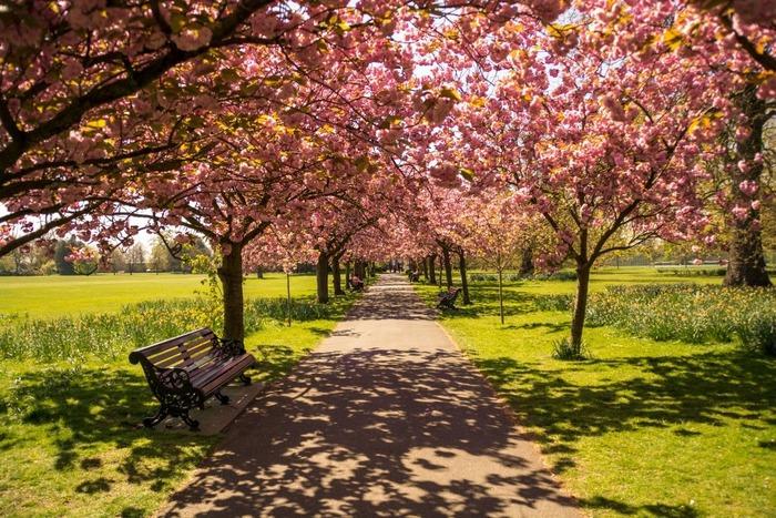 Picnic Spots