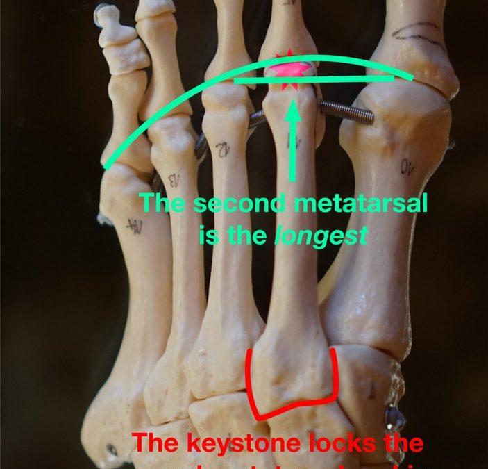 MTP synovitis in Scottsdale
