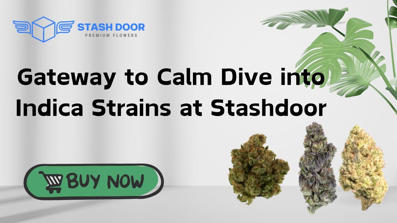 Gateway to Calm Dive into Indica Strains at Stashdoor Indica Strains