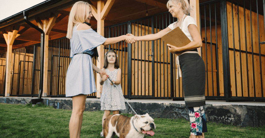 Pet Home Boarding Services Horsham