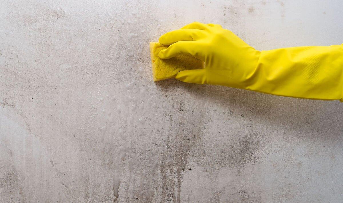 Can Siding Soft Washing Remove Stubborn Stains Siding Soft Washing