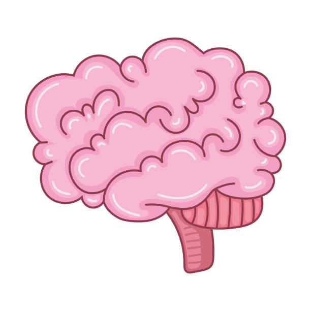 human brain biology illustration isolated neocortex