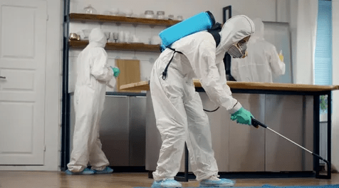 Screenshot 2024-10-23 121455